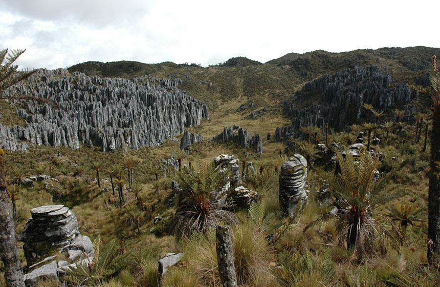 Papua_2019_0910_CarstenszPyramide